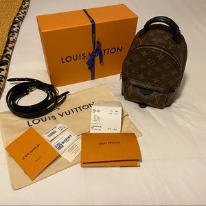 Louis Vuitton Palm Springs Mini Backpack